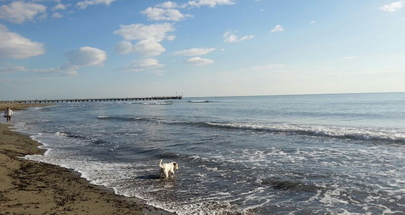 mare Alpi Fashion Magazine mare