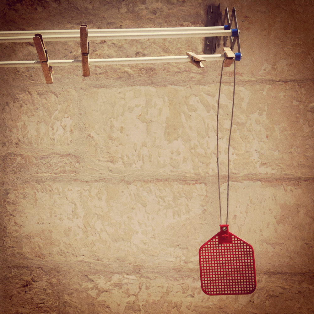 A swatter in the kitchen by picker Giulio Napolitano