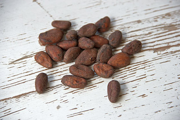 cocoa-bean