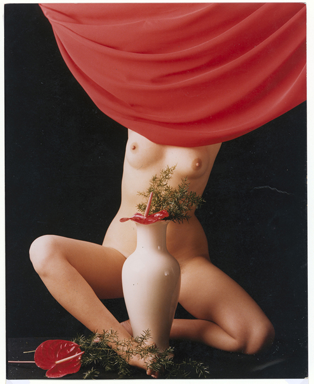 verita-monselles-fiore-rosso-1982