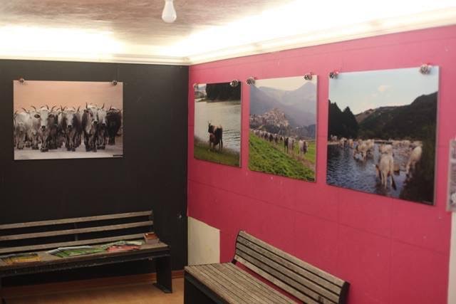 1 mostra Alpi Fashion Magazine