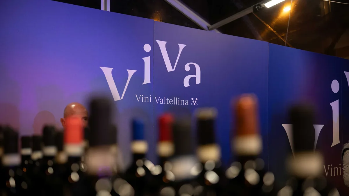viva valtellina