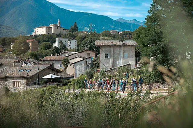 viva valtellina
