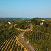 TerritorioAlto Monferrato Alpi Fashion Magazine Monferrato
